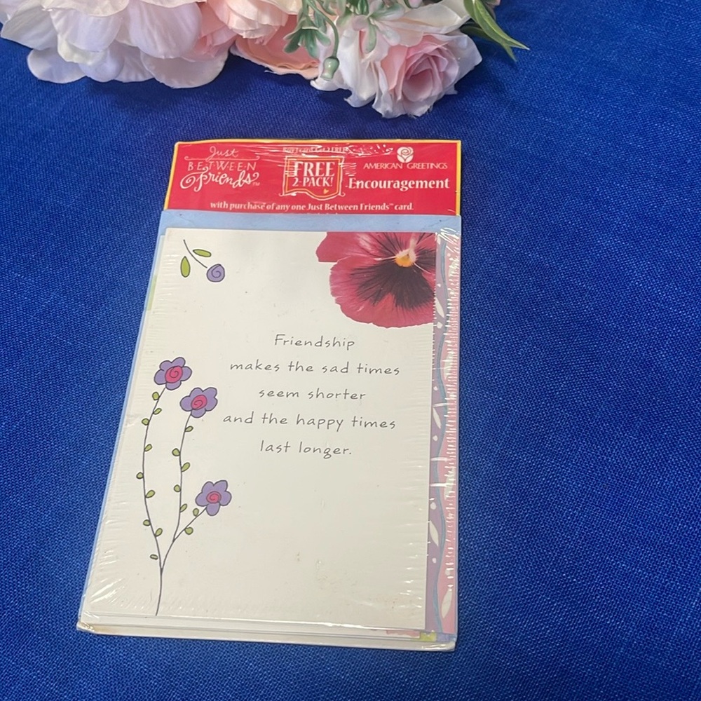 Vintage Just Between Friends American Greeting 2 Cards & Envelopes